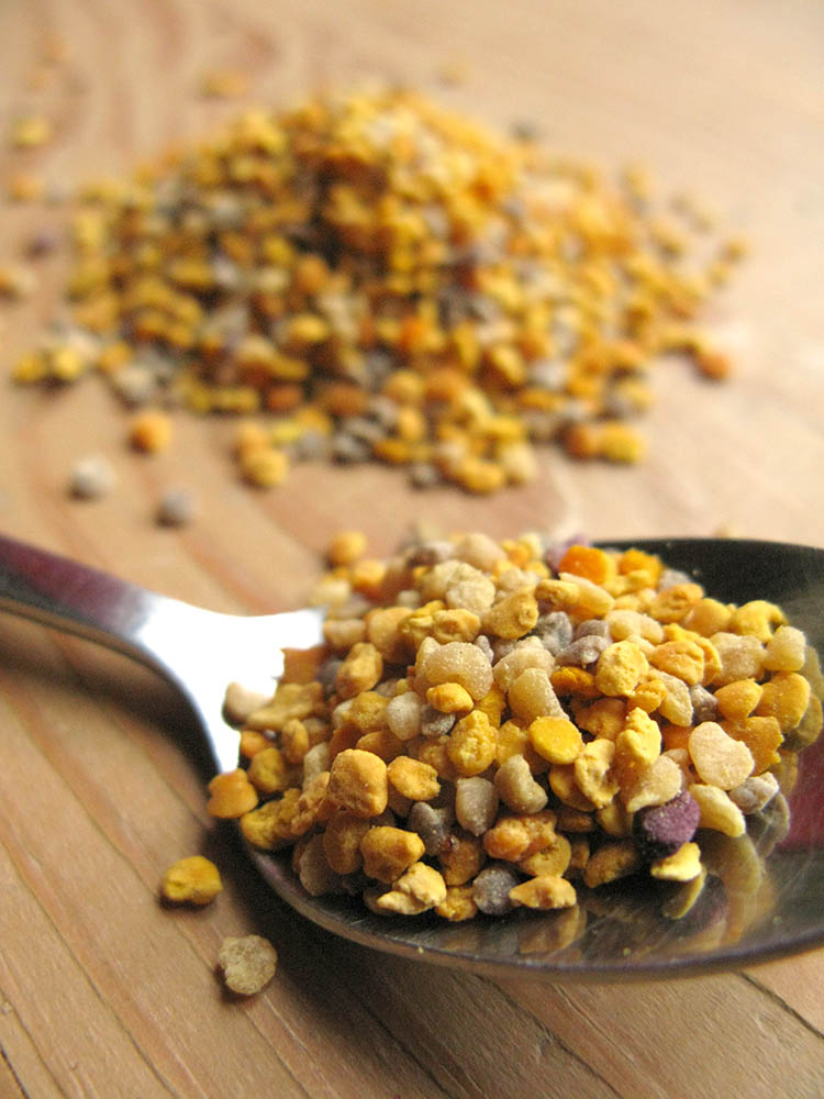 Pollen is the substance that bees collect from various flowers and use as exclusive protein food