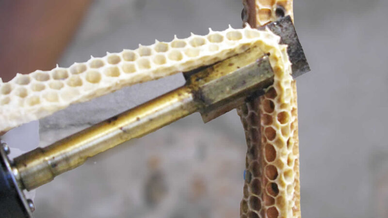 preparation for the collection of royal jelly at the beehouse in Tsepelovo